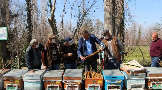 Arılar çiçekle buluştu, yetiştiriciyi ilaçlama korkusu sardı