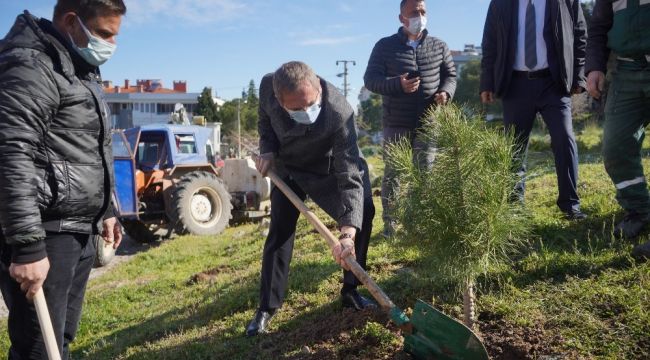 Ayvalık'ta fidanlar toprakla buluşturuldu