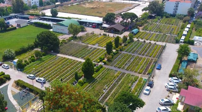 İzmir'in kalbindeki 97 yıllık oksijen deposu