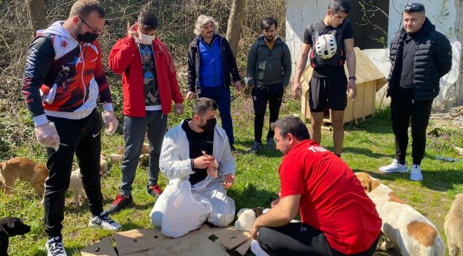 Milli sporcular sokak hayvanları için seferber oldu