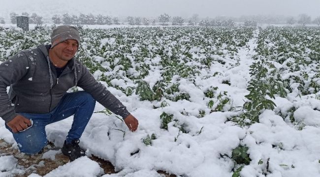 Ödemiş Ovası'na kar yağdı, üretici tedirgin