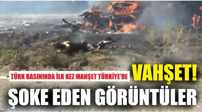 Bu videodaki görüntüler dünyayı ayağa kaldırdı