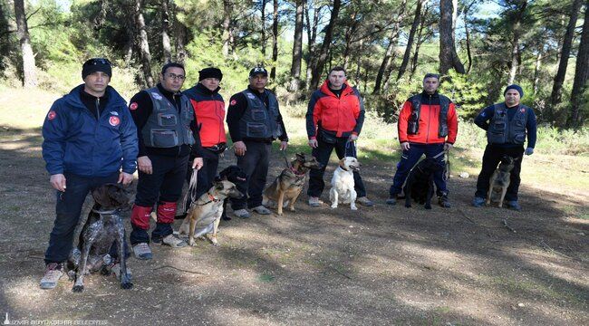 İtfaiyenin yedi köpeği hayat kurtarıyor