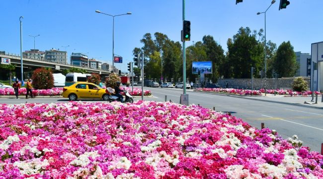 İzmir çiçek açtı