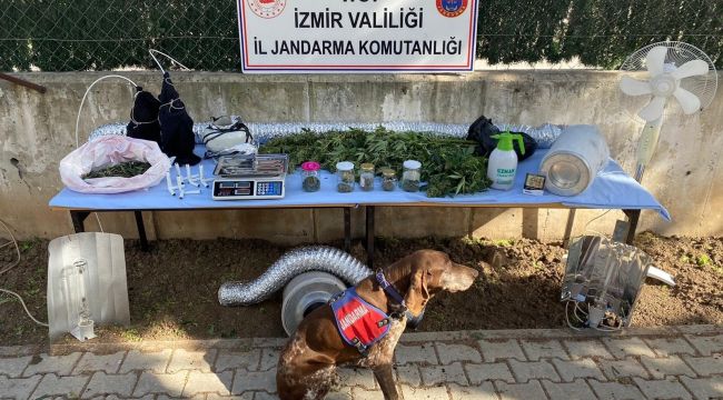 İzmir'de jandarmadan zehir baskınları: 3 tutuklama