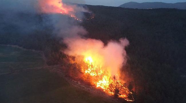 Muğla'daki orman yangınlarında 'sabotaj' şüphesi