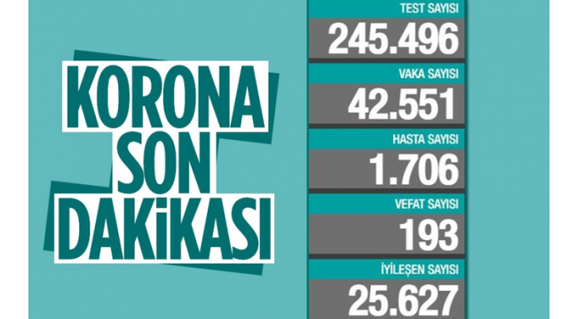 Son 24 saatte korona virüsten 193 kişi hayatını kaybetti