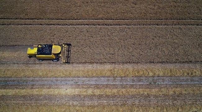 Tarımsal girdi fiyat endeksi şubatta arttı