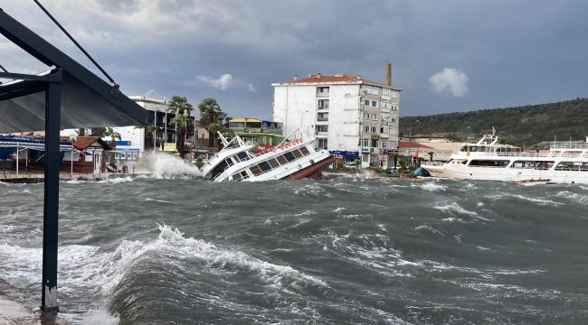 Ayvalık'ı kasırga vurdu: Zarar büyük