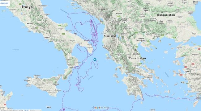 Caretta caretta iki yılda 10 bin kilometre yol aldı