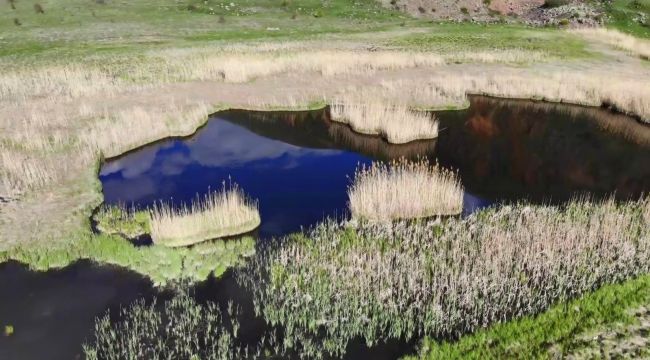 Doğa harikası 'Yüzen Adalar' ziyaretçilerini bekliyor