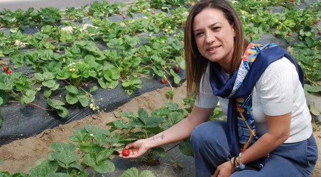 Efes Tarlası Yaşam Köyü açılıyor