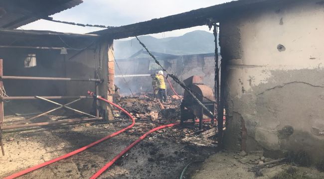 İzmir'deki hayvan çiftliğinde korkutan yangın