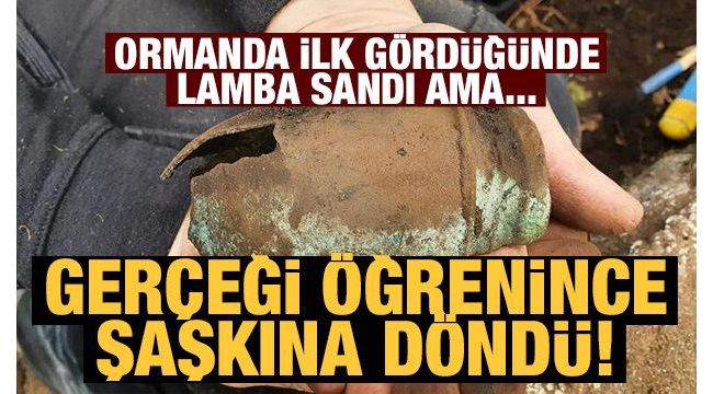 Ormanda yürürken hazine buldu