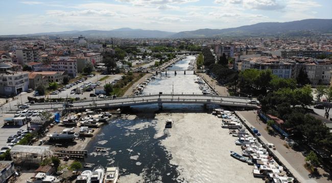 Sarıçay deniz salyasına teslim oldu