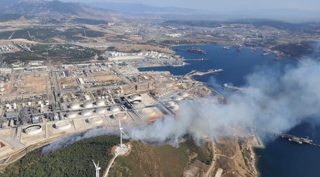 Aliağa'da otluk alanda çıkan yangınlar panik yarattı