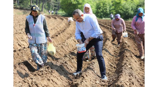 Başkan Sürekli; Ödemiş çiftçileriyle tarlada