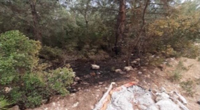 İzmir'de ormanı yakmak isteyen şüpheli, PKK'lı çıktı