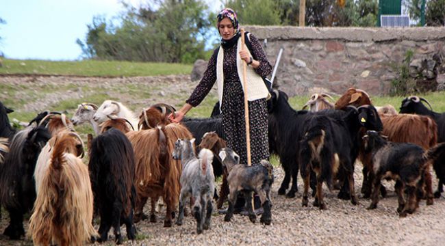 'Köylü kızı'nın takipçi sayısı 100 bine yaklaştı