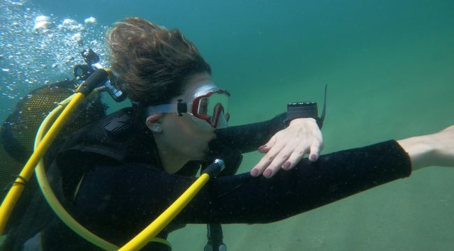 Marmara Deniz salyasıyla kaplandı, rotalar Karadeniz'e çevrildi