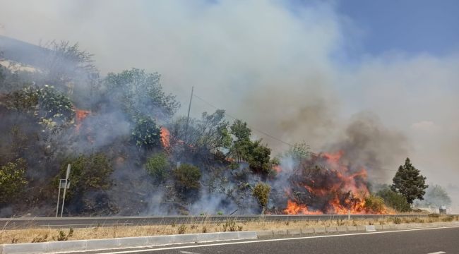 Muğla'da ormana sıçrayan yangın söndürüldü