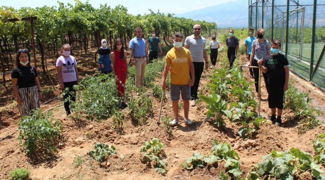 Okul bahçesinde sebze yetiştirip okula gelir sağlayacaklar