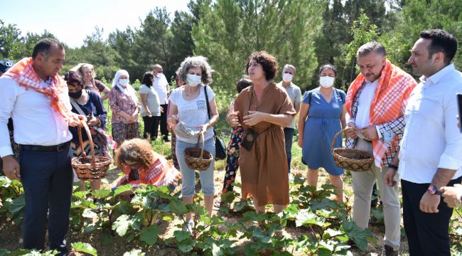 Bornova'da ilk bamya hasadı Soyer'den