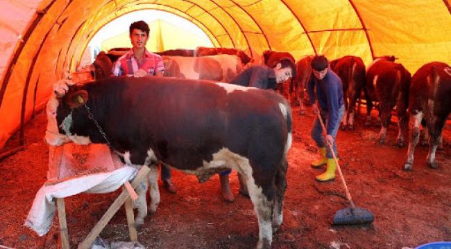 Bornova'da Kurban satış yerleri hazır