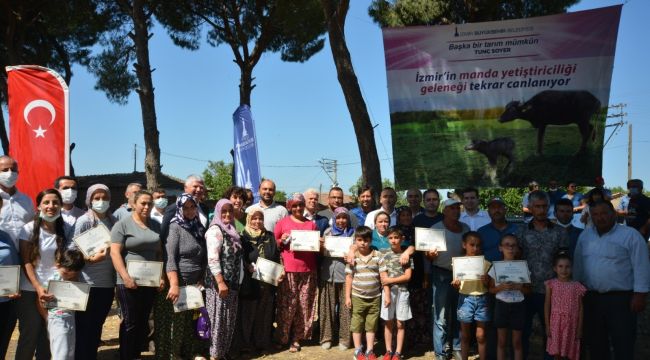 Büyükşehir'den Bergamalı üreticilere manda desteği