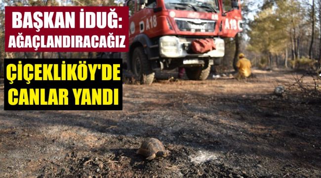 Çiçekliköy'de canlar yandı