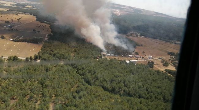 Çiçekliköy'deki yangına hızlı müdahale