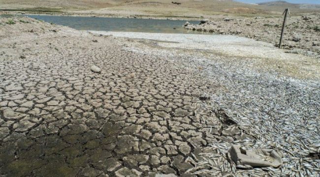 Dehşete düşüren kuraklık manzarası