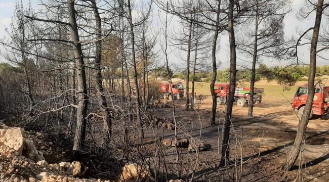 Denizli'de 1 günde 2. orman yangını