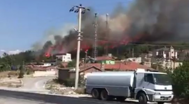 Foça'daki yangını oynayan iki çocuk mu çıkardı