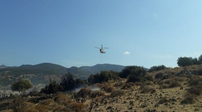 İzmir'de yangın: Havadan ve karadan müdahale var