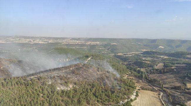 Manisa'da orman yangınında 15 hektar zarar gördü