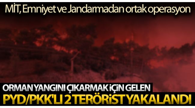 Orman yakmaya gelen PYD/PKK'lı 2 terörist yakalandı