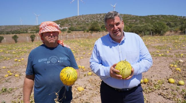 100 yıllık Ata tohumu Çeşme kavunu yeniden sahnede!