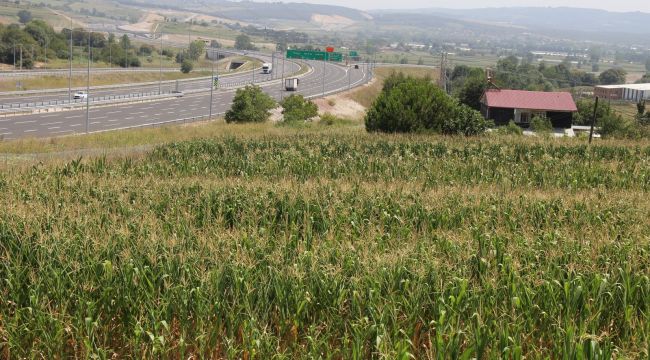 Arapların gözdesi, arsa fiyatları 500 bin liraya ulaştı