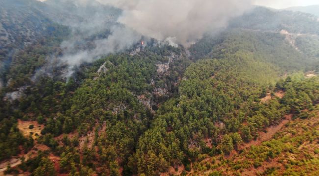 Arıcıların feryat etti; desteğe ihtiyacımız var