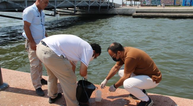 Bostanlı sahile ölü balıklar vurdu