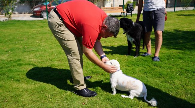 Çeşme'de köpeklere özel 'Pati Park'