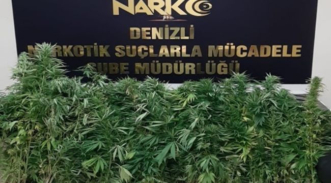 Denizli'de zehir tacirleri gözaltına alındı