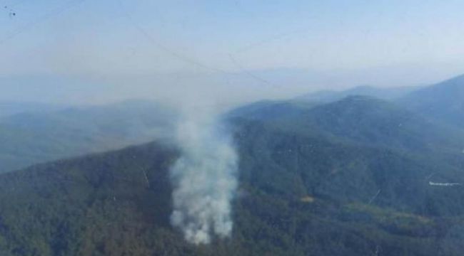 İzmir'de ki orman yangını kontrol altına alındı