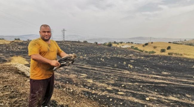 Şahin trafoya çarptı, yangın ormana sıçramadan söndürüldü