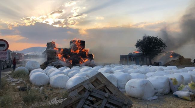 Saman yüklü tır alev alev yandı