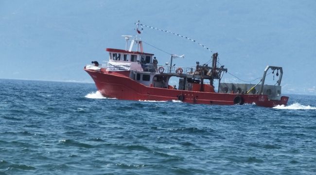 Suni resiflerle balık çeşidi ve sayısı artacak