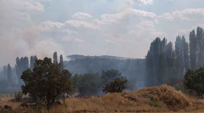 Uşak'ta yangına havadan müdahale 