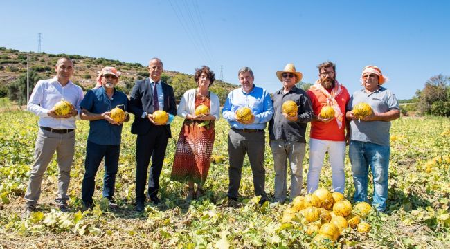 Aromasıyla meşhur Çeşme kavunu tescillendi