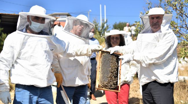 Bornova'da ilk bal sağımı yapıldı